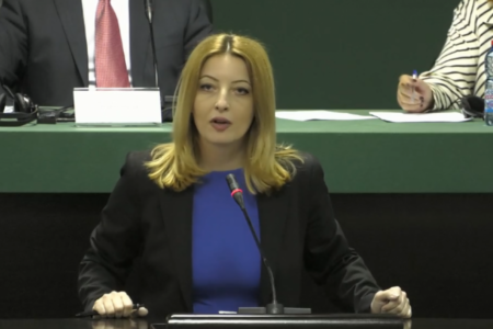 ВМРО-ДПМНЕ: За Арсовска политичките игри се поважни од интересот на граѓаните