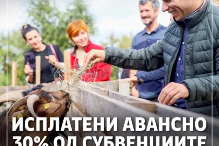 МЗШВ: Исплатени се 283,4 милиони денари субвенции на 9.623 сточари