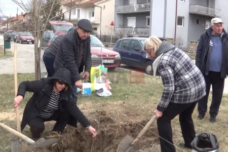 Во Делчево ќе никне Гинко парк, семејство донираше 90 садници Гинко билоба