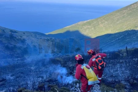 Голем број пожари во Албанија, властите апелираат на внимателност и предупредуваат на високата затворска казна за потпалувачите