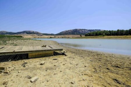 Италија пред колапс: Најголемата суша во последните половина век, милиони граѓани без капка вода, сточарите принудени да убиваат добиток
