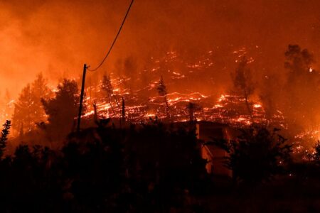 Речиси 200 шумски пожари горат низ Америка: прогласена вонредна состојба во една држава