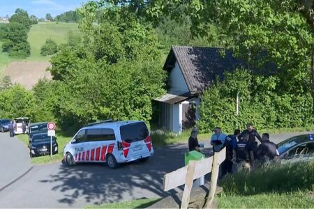 Шок во Швајцарија: 14-годишно девојче обвинето за брутално убиство на соученик во шума